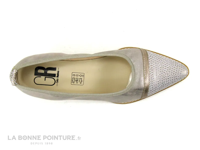Achat chaussures Geo Reino Femme Escarpin, vente Geo Reino PORAT Nikel - Escarpin pointu cuir gris