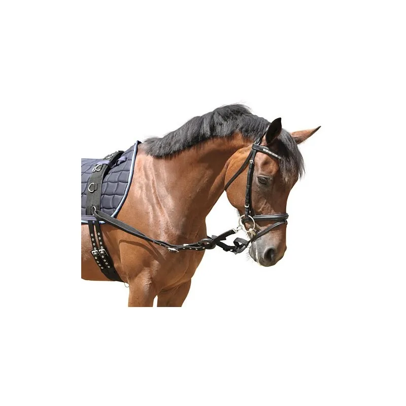 Enrênement élastique nylon - STABLE PRO - Cheval - Equestra