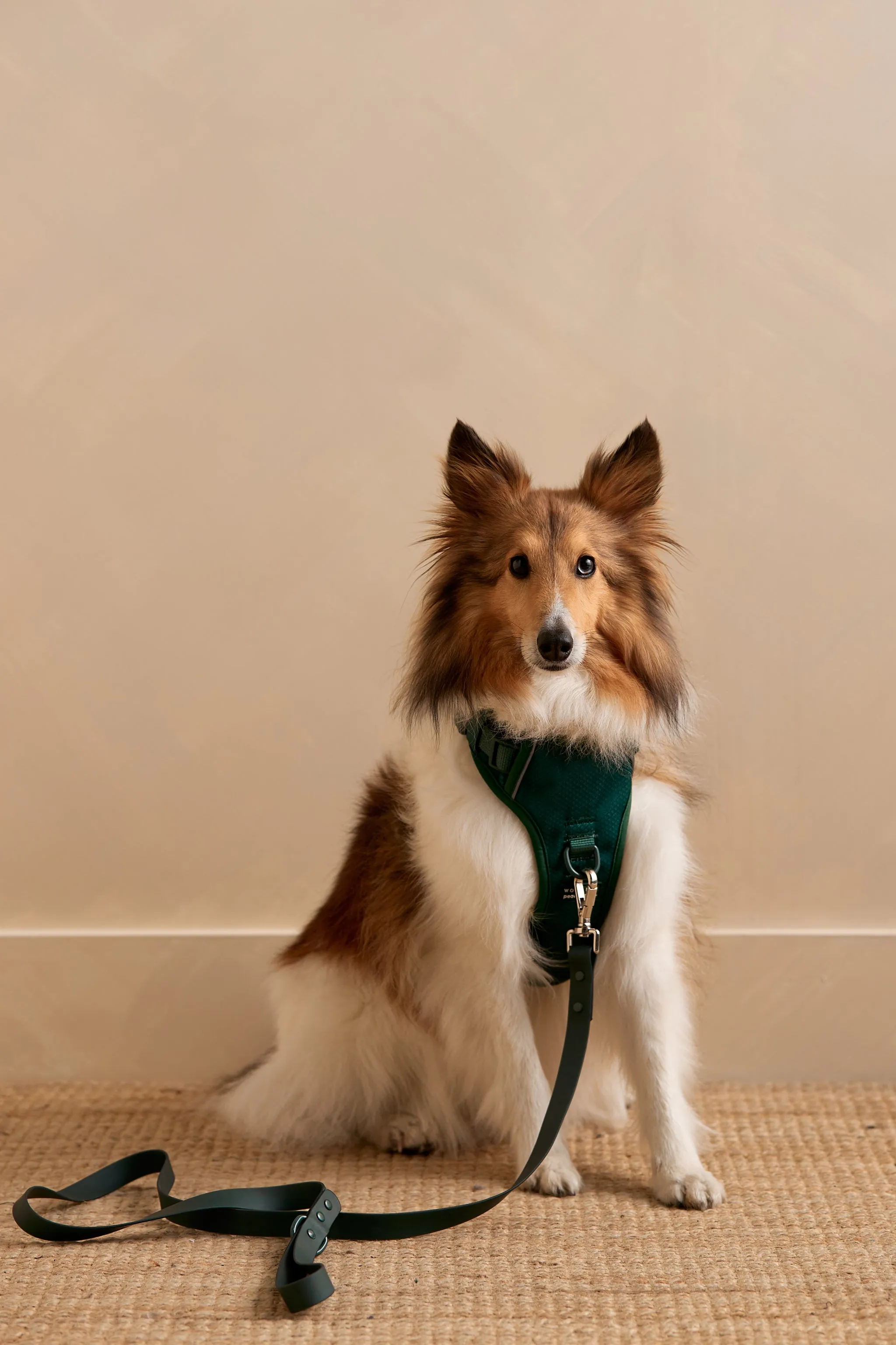 Harnais pour chien - MA0126 (Seconde Main)