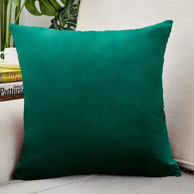 Housse de coussin en Velours