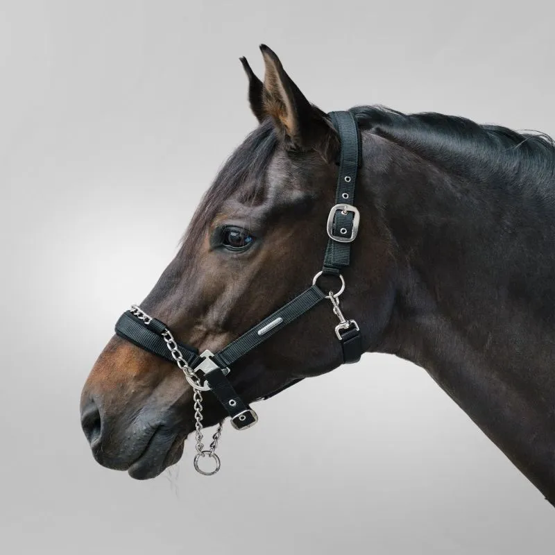 Licol de sécurité cheval à chaine Pro Safety Waldhausen - Equestra